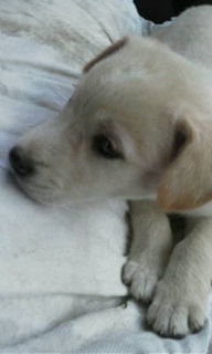 f:id:zion_hamanaka:20121022154049j:image