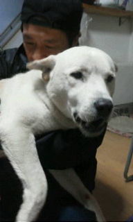 f:id:zion_hamanaka:20121022170008j:image