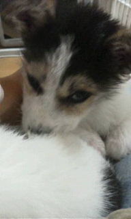 f:id:zion_hamanaka:20121029215929j:image