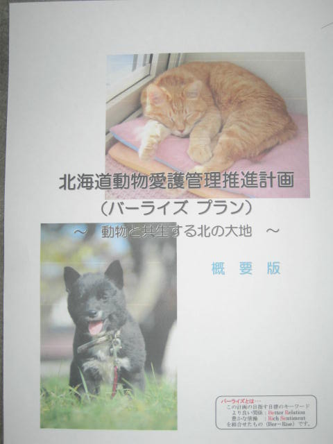 f:id:zion_hamanaka:20121113205013j:image