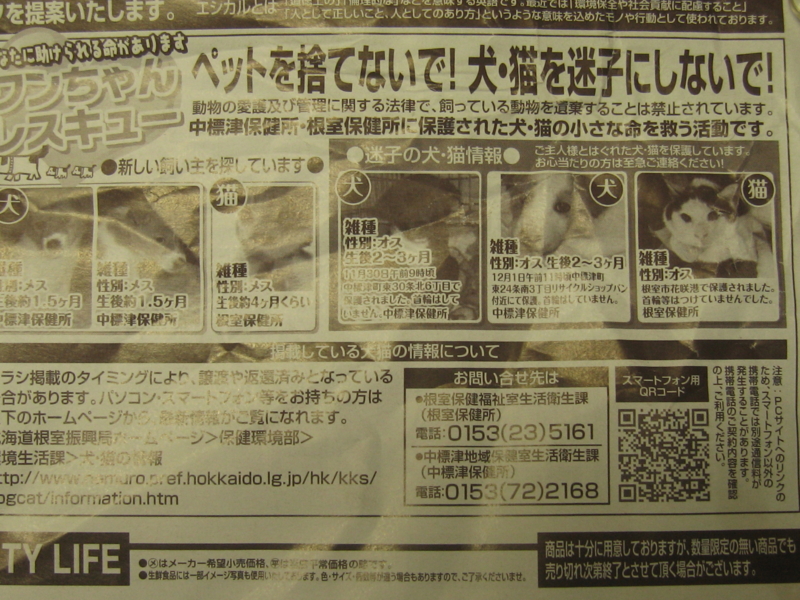 f:id:zion_hamanaka:20121211201703j:image