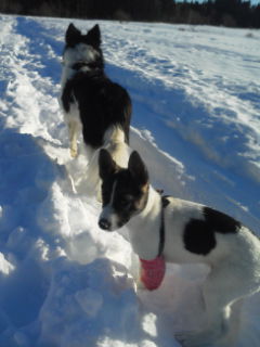 f:id:zion_hamanaka:20121228140313j:image