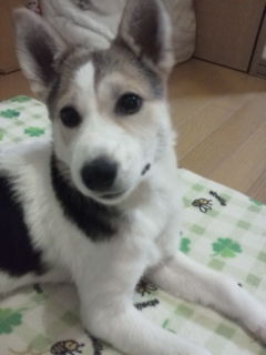 f:id:zion_hamanaka:20130105201949j:image f:id:zion_hamanaka:20130105201949j:image