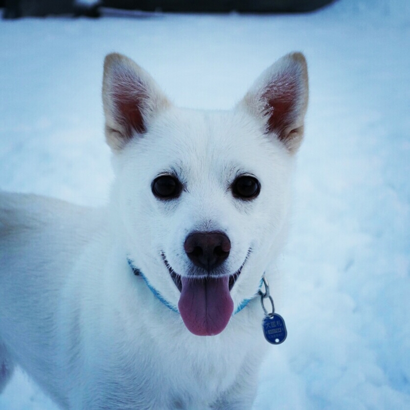 f:id:zion_hamanaka:20130127002722j:image