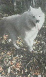 f:id:zion_hamanaka:20130130201020j:image