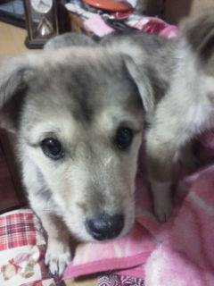f:id:zion_hamanaka:20130218192021j:image