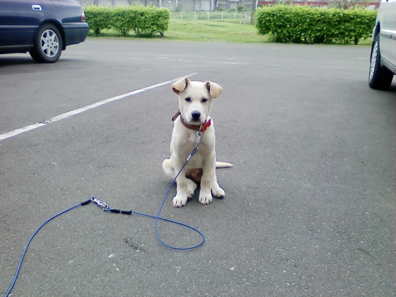 f:id:zion_hamanaka:20130620172820j:image