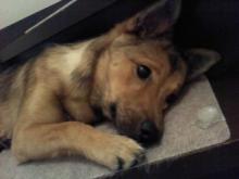 f:id:zion_hamanaka:20130809183941j:image