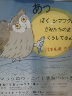 f:id:zion_hamanaka:20131020151515j:image f:id:zion_hamanaka:20131020151515j:image