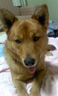f:id:zion_hamanaka:20131111203340j:image