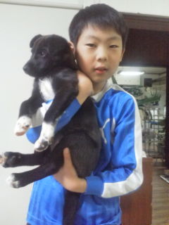 f:id:zion_hamanaka:20131117171330j:image