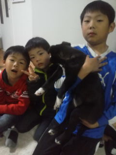 f:id:zion_hamanaka:20131117171406j:image