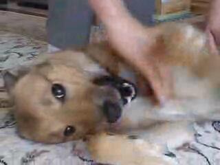 f:id:zion_hamanaka:20131122100151j:image f:id:zion_hamanaka:20131122100151j:image