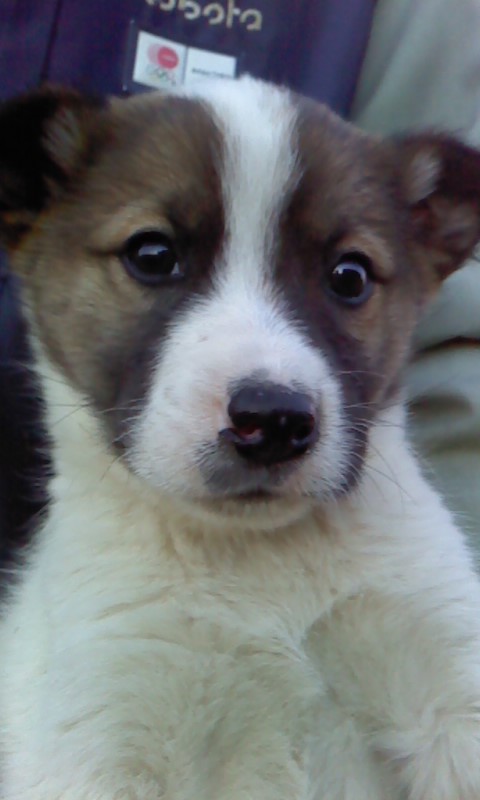 f:id:zion_hamanaka:20131123155318j:image f:id:zion_hamanaka:20131123155318j:image