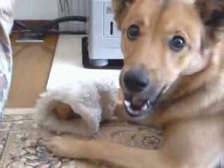 f:id:zion_hamanaka:20131207130021j:image