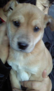 f:id:zion_hamanaka:20131208153447j:image