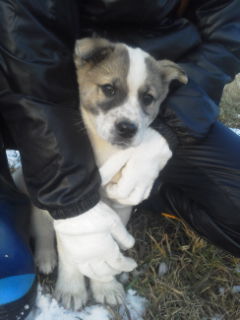 f:id:zion_hamanaka:20131209144628j:image