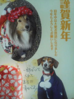 f:id:zion_hamanaka:20140103115503j:image
