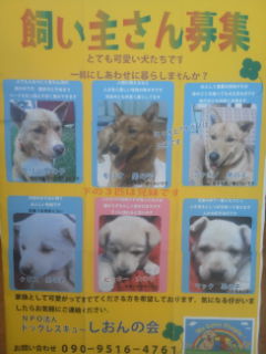 f:id:zion_hamanaka:20140111132233j:image