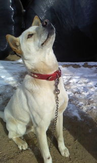 f:id:zion_hamanaka:20140118121951j:image f:id:zion_hamanaka:20140118121951j:image