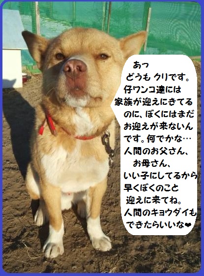 f:id:zion_hamanaka:20140119144814j:image