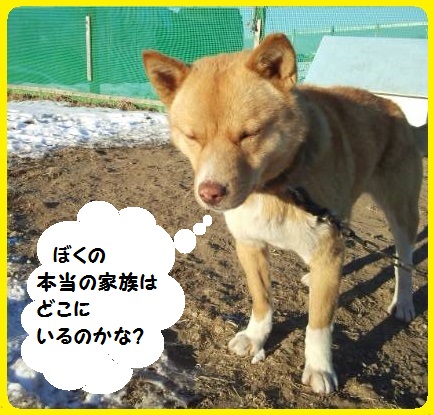 f:id:zion_hamanaka:20140119145025j:image