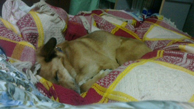 f:id:zion_hamanaka:20140218215937j:image