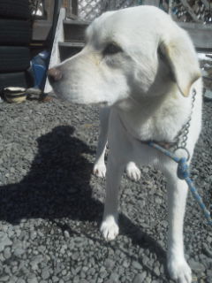 f:id:zion_hamanaka:20140324105448j:image f:id:zion_hamanaka:20140324105448j:image