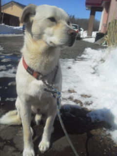 f:id:zion_hamanaka:20140324105732j:image f:id:zion_hamanaka:20140324105732j:image