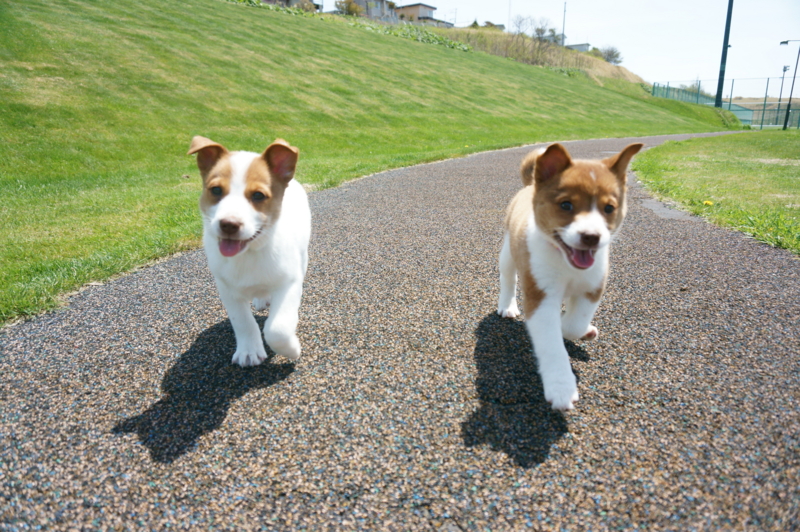 f:id:zion_hamanaka:20140605104609j:image