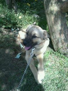 f:id:zion_hamanaka:20140607170522j:image