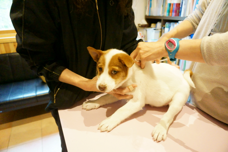 f:id:zion_hamanaka:20140608160318j:image