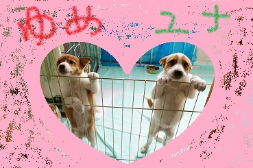 f:id:zion_hamanaka:20140609101126j:image f:id:zion_hamanaka:20140609101126j:image