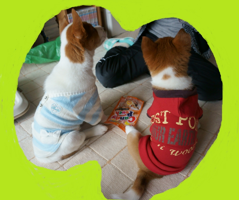 f:id:zion_hamanaka:20140609110847j:image f:id:zion_hamanaka:20140609110847j:image