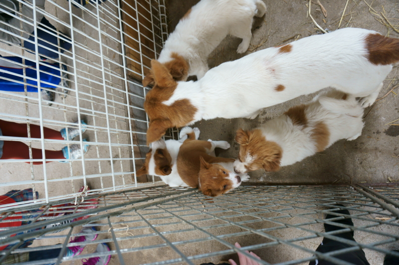 f:id:zion_hamanaka:20140609131513j:image f:id:zion_hamanaka:20140609131513j:image