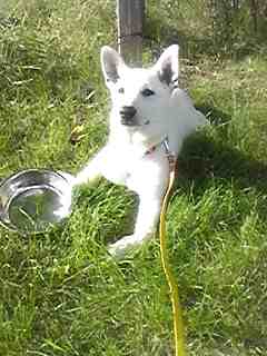 f:id:zion_hamanaka:20140628163100j:image