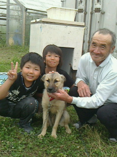 f:id:zion_hamanaka:20140718072055j:image f:id:zion_hamanaka:20140718072055j:image