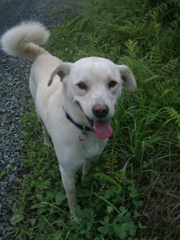 f:id:zion_hamanaka:20140820095800j:image