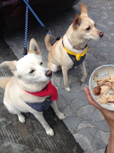 f:id:zion_hamanaka:20140903003210j:image