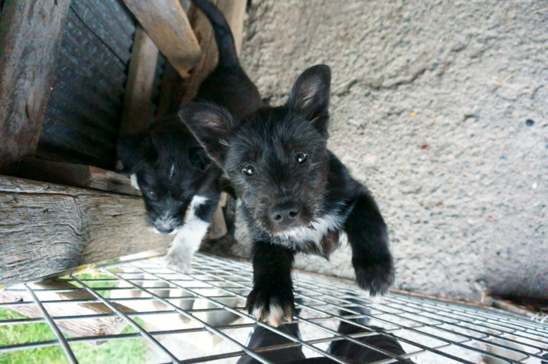 f:id:zion_hamanaka:20141005164101j:image