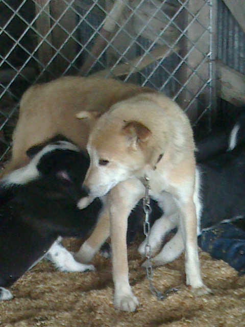 f:id:zion_hamanaka:20141006205151j:image