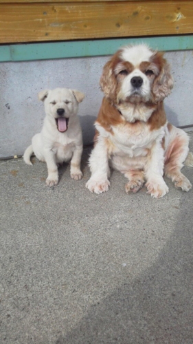 f:id:zion_hamanaka:20141013124900j:image