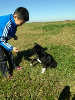 f:id:zion_hamanaka:20141021235500j:image