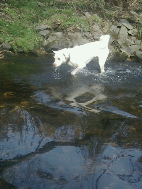 f:id:zion_hamanaka:20141024231700j:image