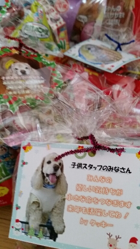 f:id:zion_hamanaka:20141111113043j:image