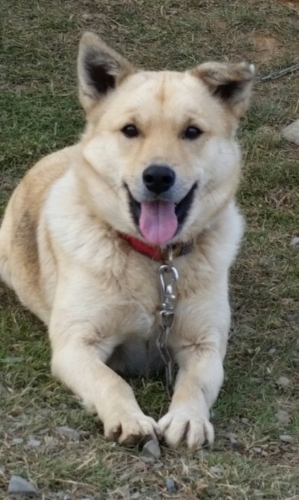 f:id:zion_hamanaka:20141122132221j:image