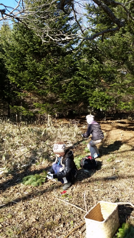 f:id:zion_hamanaka:20141207102514j:image