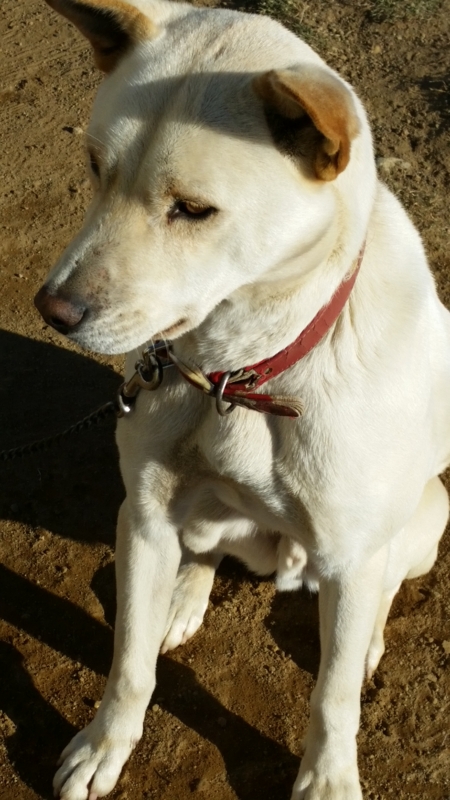 f:id:zion_hamanaka:20141209122814j:image