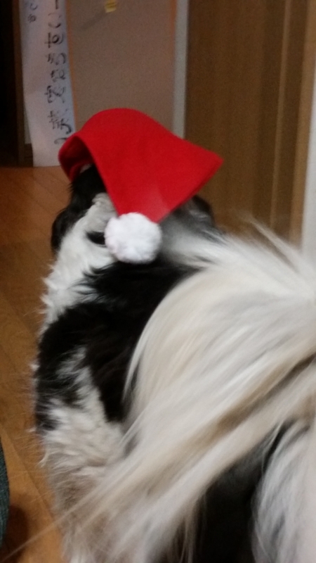 f:id:zion_hamanaka:20141209204911j:image