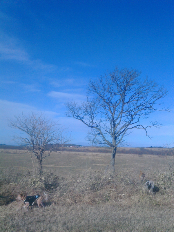 f:id:zion_hamanaka:20141215102000j:image